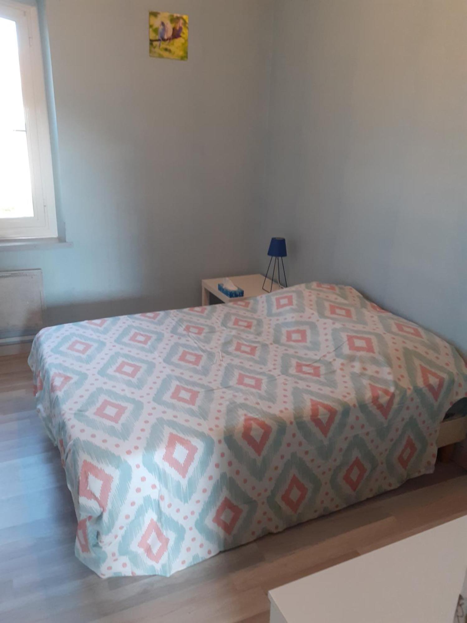 L'oiseau Bleu Apartment *